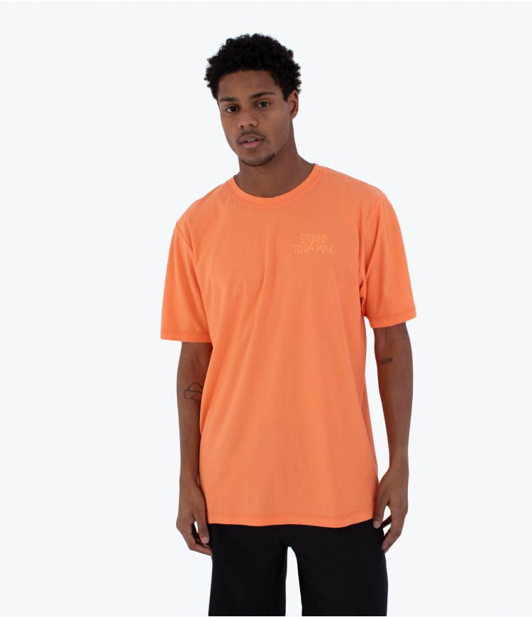 Hurley M SIDER BP SS TEE