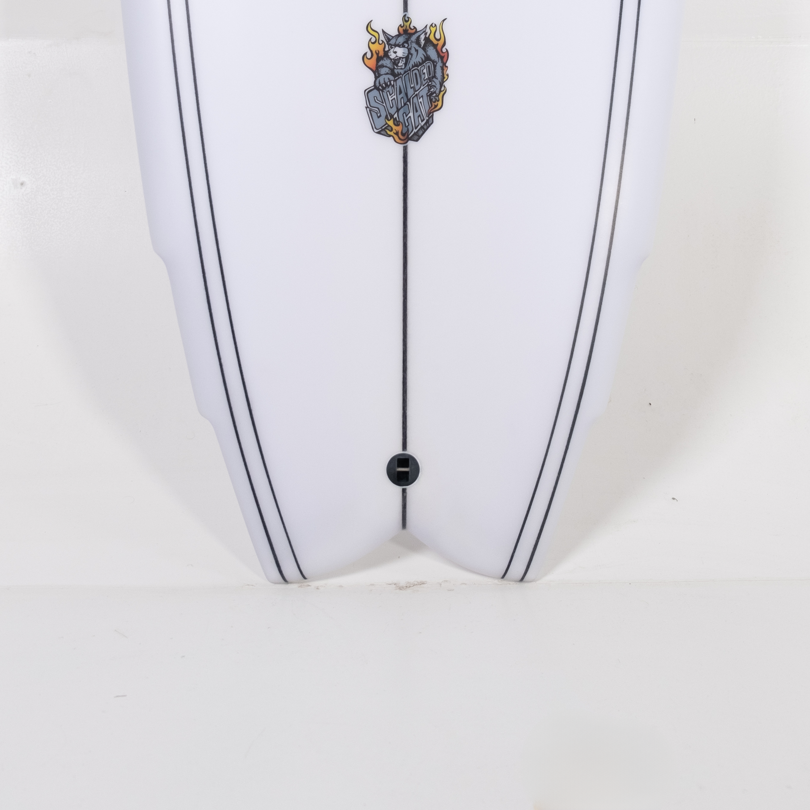 Scalded Cat 5'8" x 21" X 2 1/2" - 33.40L, Wing Swallow, 3x FCS 2 Fin Boxes, PU - ID:988029