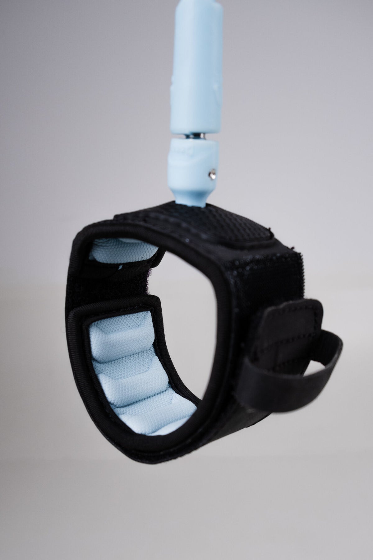 Bell Leash Daily 6