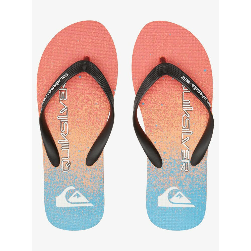 Quiksilver Flip-flops Men Molokai Art II | Sandals | Quiksilver | prd84876