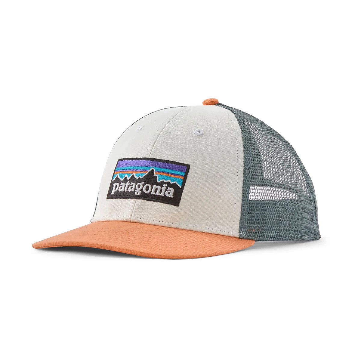 Patagonia P-6 Logo LoPro Trucker Hat