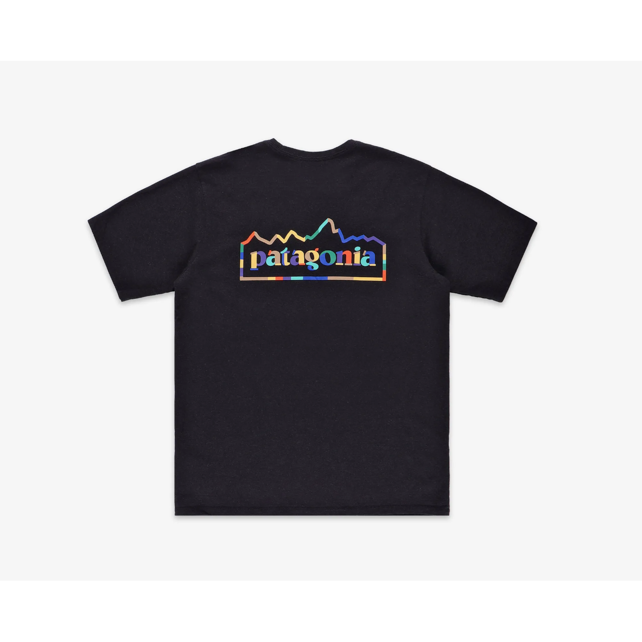 Patagonia Men's Unity Fitz Responsibili-Tee | T-Shirt | Patagonia | prd84778