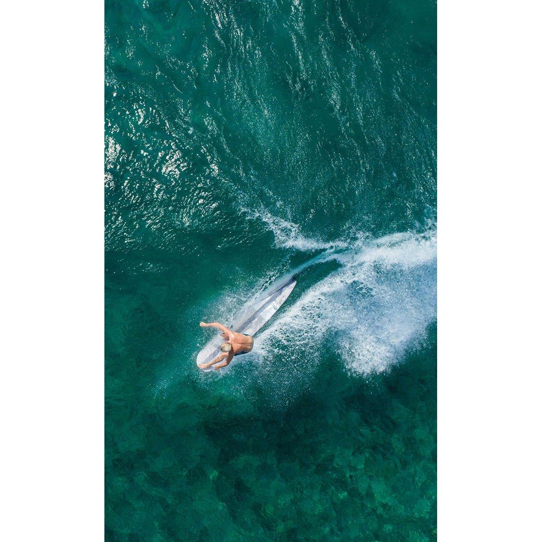 The Horseshoe Tec Planche De Surf Longboard#LongboardTorq